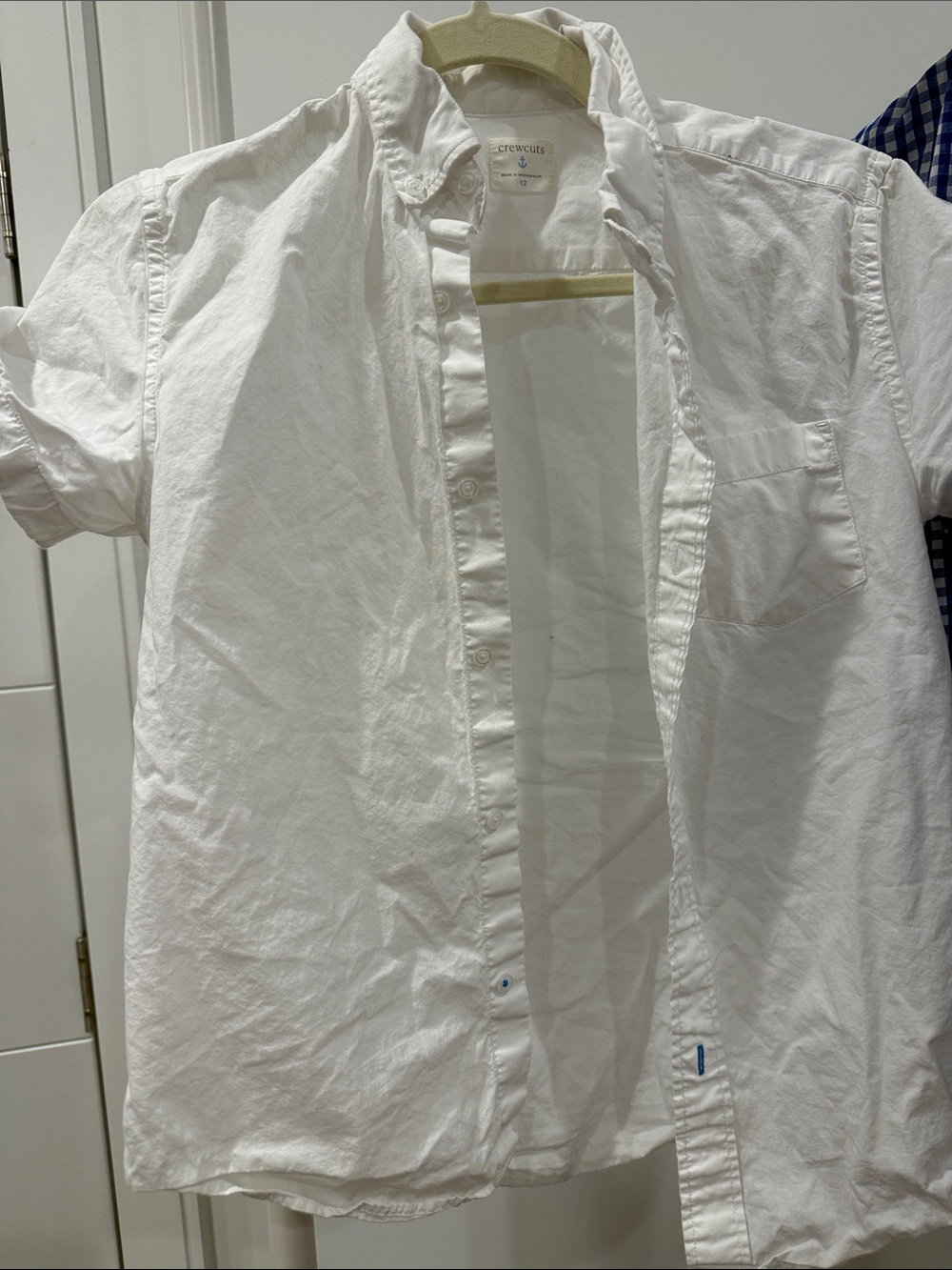 Boys crewcuts size 12 white short sleeved button down shirt